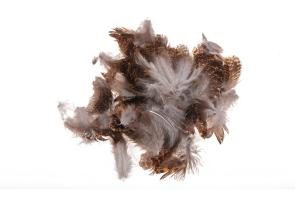 Veniard english grouse soft hackle