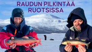Ice fishing for Arctic char in Lapland