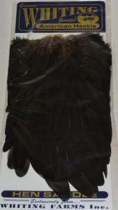 Whiting American hen saddle black