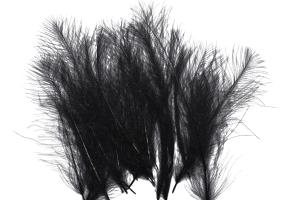 Classic Cdc feathers