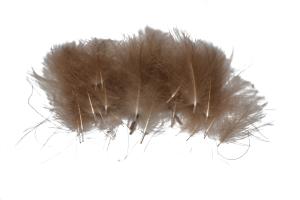 Classic Cdc feathers