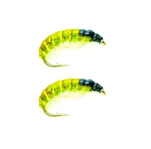 Classic Uppoperho  SM CzechNymph Olive #12 - 2 kpl