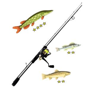 Jasu Mestari Heavy Spinning Combo
