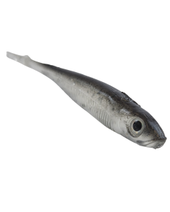 Jasu Tiera V2 Jig 8 cm