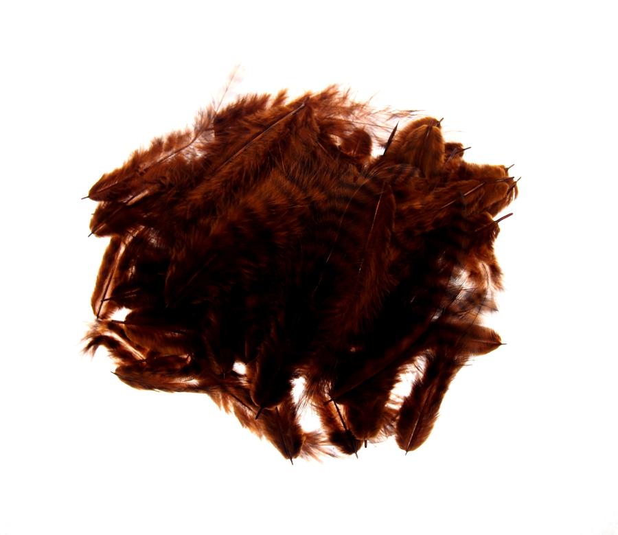 Classic Grizzly Pehmeä Häkilä 