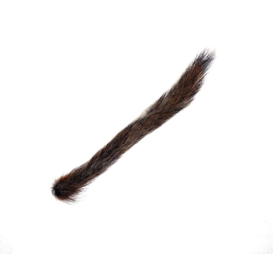 Classic Squirrel Tail