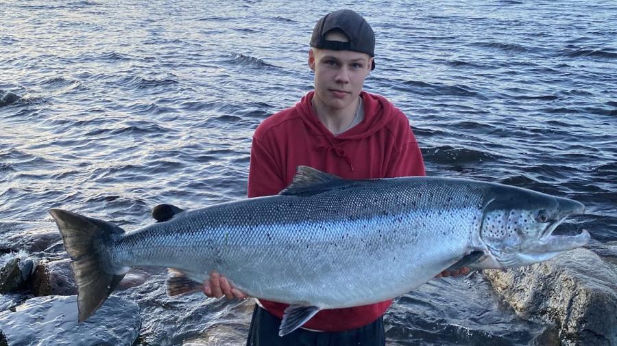 Vinkit ja välineet merilohen kalastukseen 