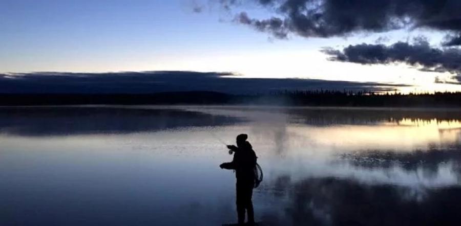 Taimenta Lapin järveltä