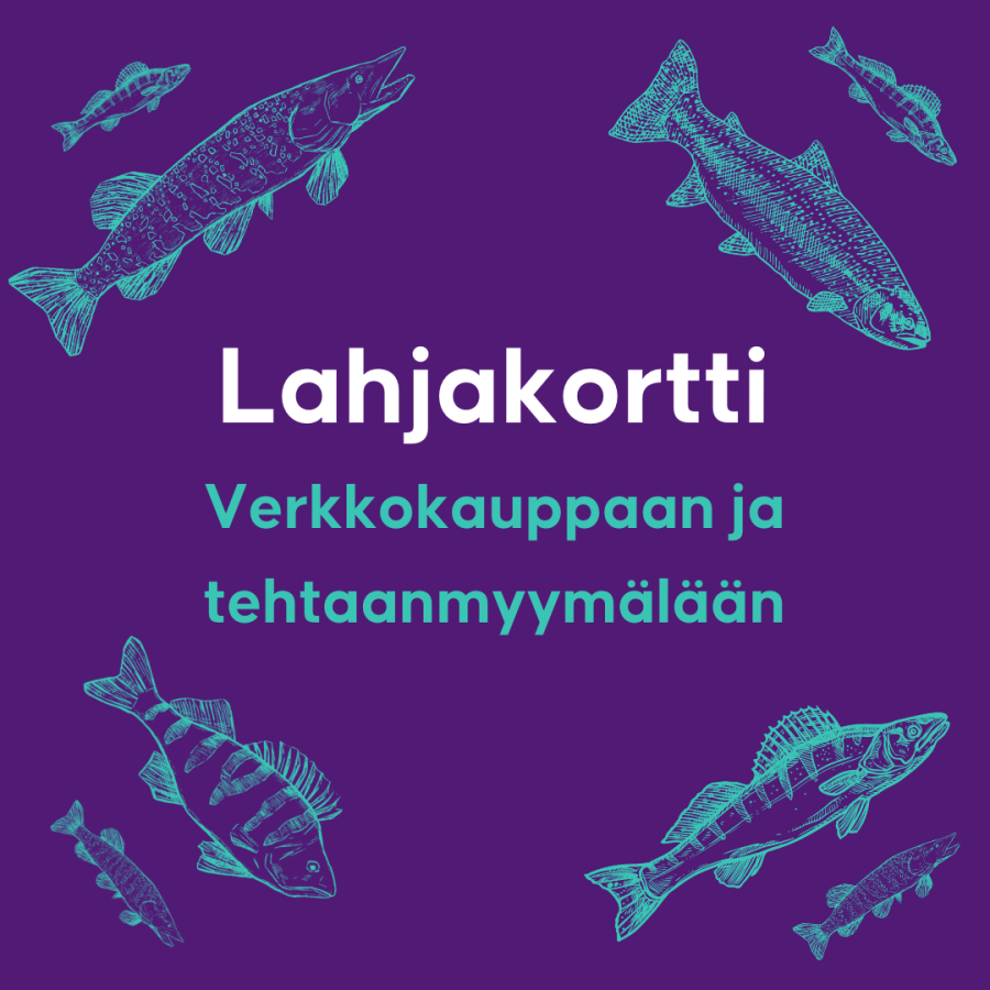 Lahjakortti Eumerin verkkokauppaan ja tehtaanmyymälään