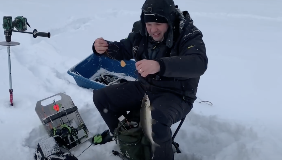 Vinkit siian pilkintään pohjoisessa
