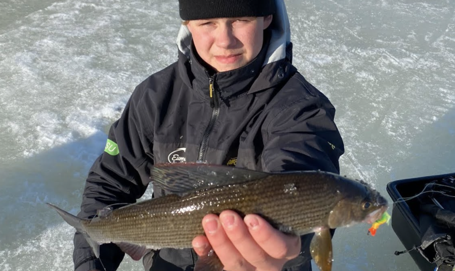 Vinkit harjuksen pilkintään virtavesissä