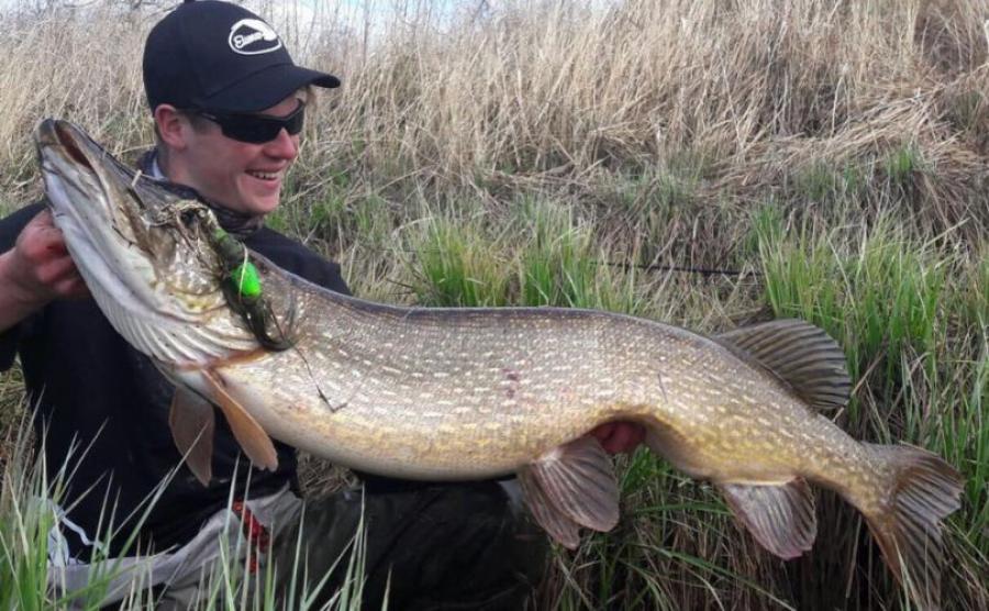 Tips for Pike Fishing