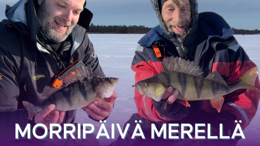 Ice fishing for perch in Raippaluoto