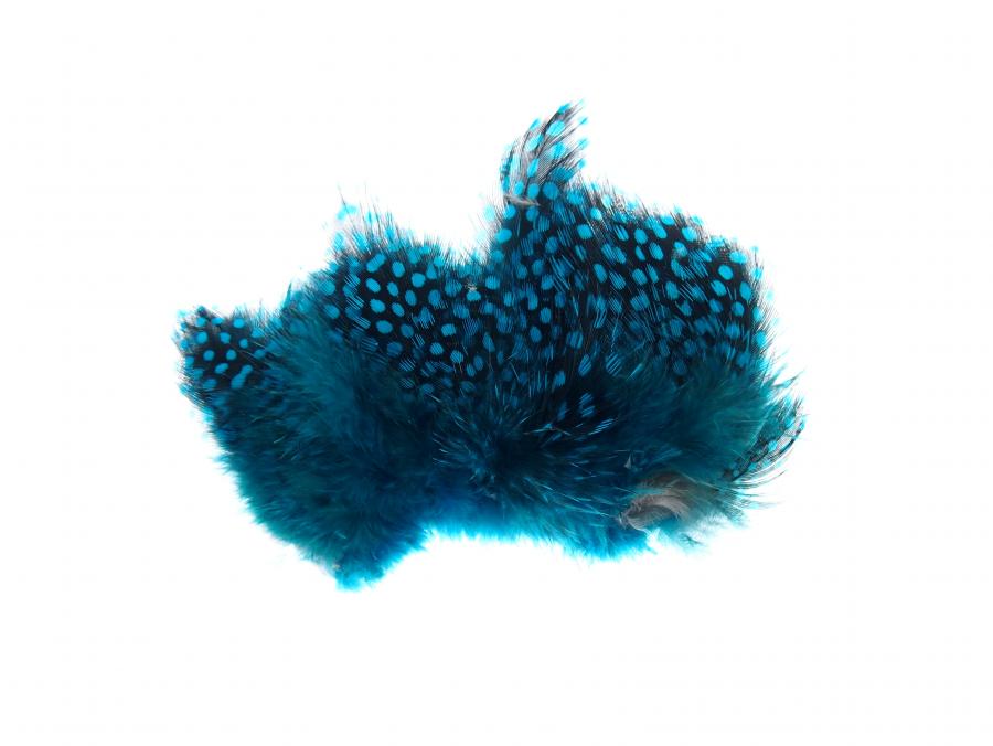 Classic Strung guinea feathers