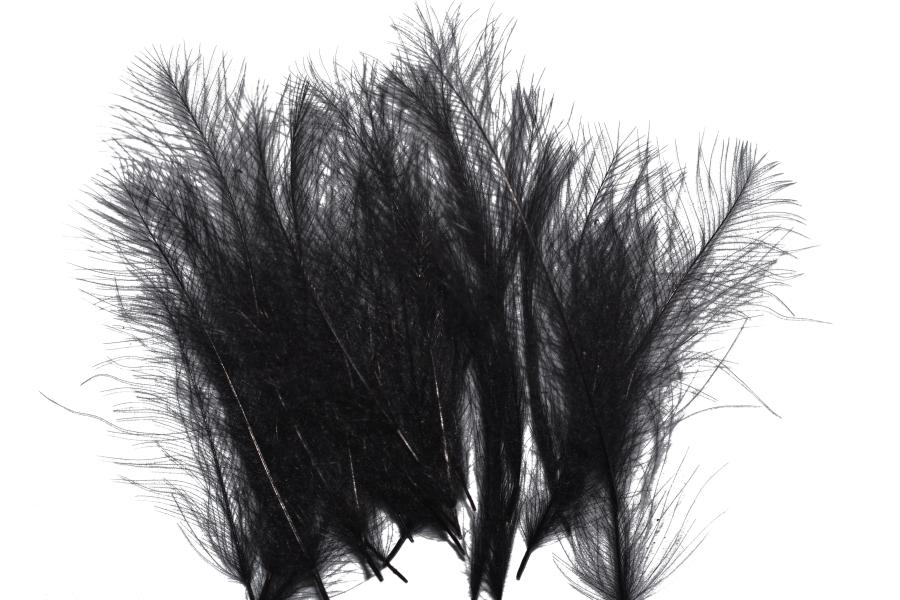 Classic Cdc feathers