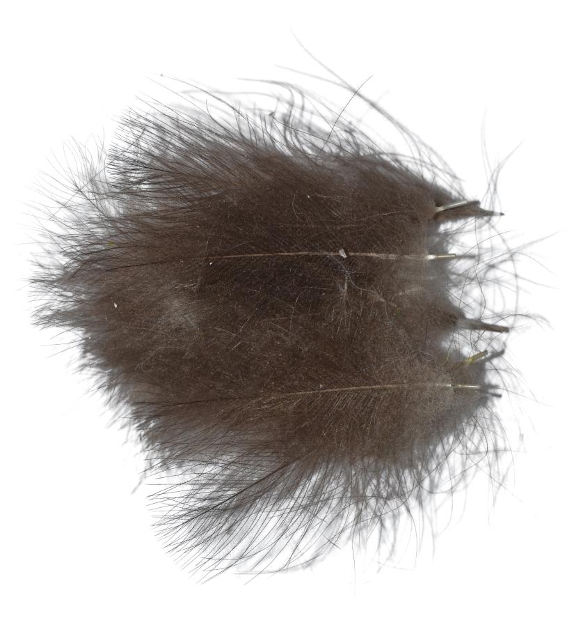 Classic Cdc feathers