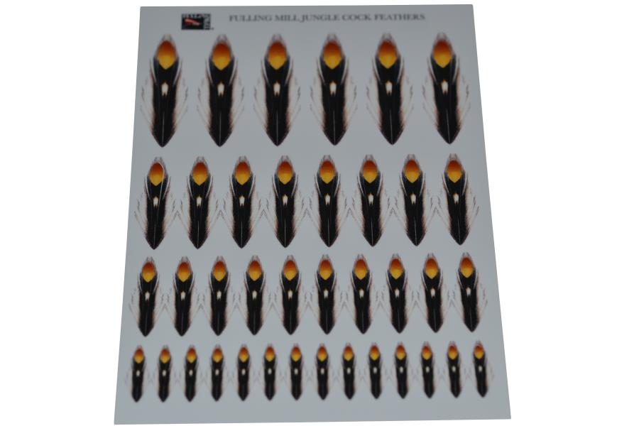 Eumer Substitute jungle cock feathers natural