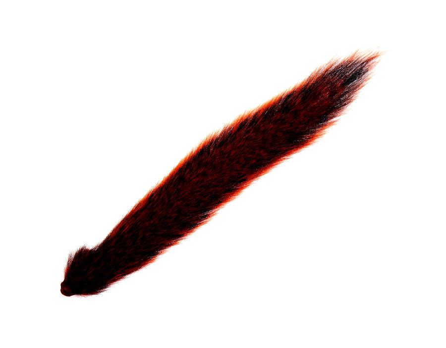 Classic Squirrel Tail