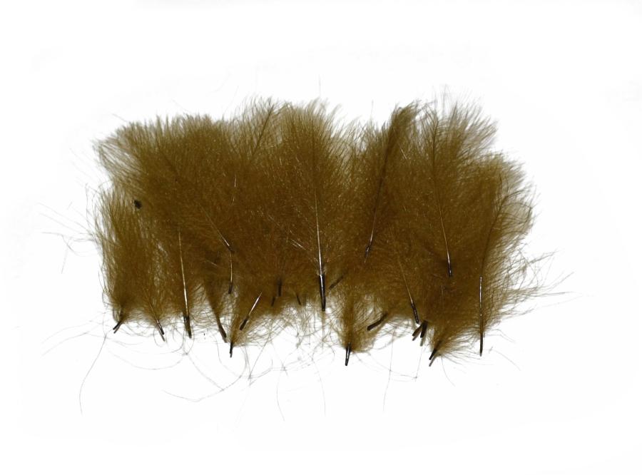 Classic Cdc feathers